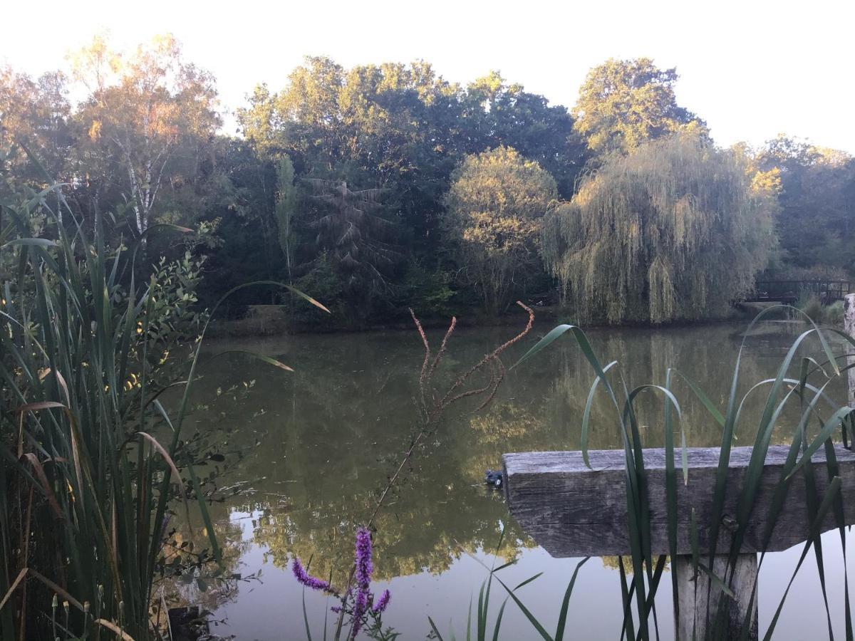 Marcilly-en-Gault Ferme Boisquillon B&B 외부 사진